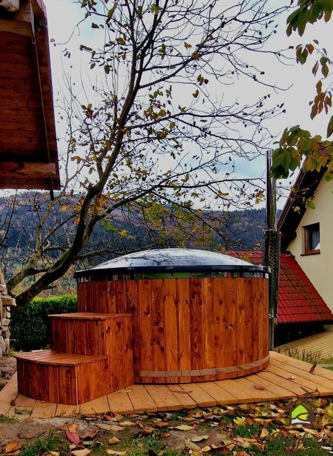 Noclegi Daglezja Pod Gora Zar Miedzybrodzie Zywieckie Exterior photo